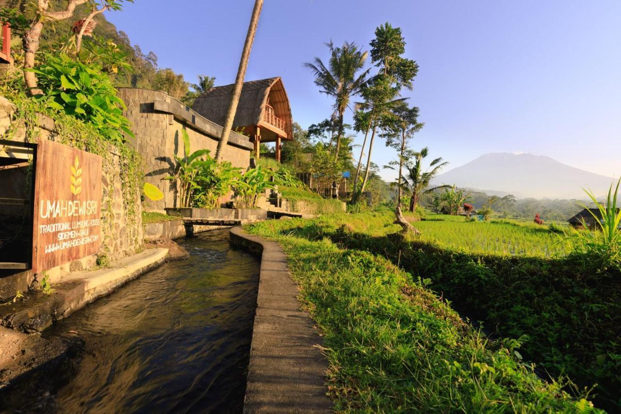 Romantic Barn With Mt. Agung Views Sidemen  Exterior photo